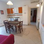Rent 2 bedroom apartment of 63 m² in Pietrasanta