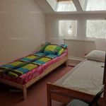 Rent 6 bedroom apartment of 300 m² in Kaposvár