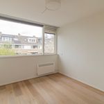 Rent 4 bedroom house of 155 m² in Ouderkerk Aan De Amstel