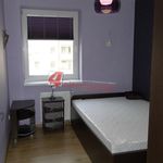 Rent 2 bedroom apartment of 43 m² in Tarnów