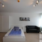 Miete 1 Schlafzimmer wohnung von 49 m² in Nuremberg
