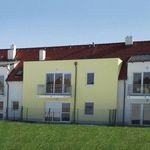Rent 2 bedroom apartment of 52 m² in Hausbrunn