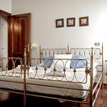 Rent 1 bedroom apartment in Livorno