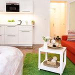 Rent 1 bedroom apartment of 30 m² in Praha