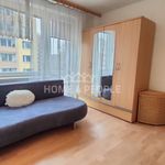 Rent 4 bedroom apartment of 106 m² in Brno