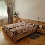 Rent 3 bedroom apartment of 73 m² in Plzeň