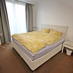 Rent 1 bedroom apartment of 53 m² in Manchester