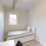 8 bedroom apartment in Ottawa