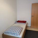 Rent 2 bedroom apartment of 55 m² in Essen
