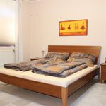 Rent 4 bedroom apartment of 112 m² in Pardubice