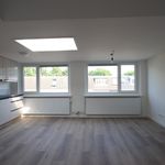 Rent 1 bedroom apartment of 30 m² in Utrecht