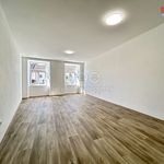 Pronajměte si 2 ložnic/e byt o rozloze 53 m² v Jindřichův Hradec