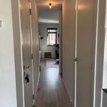 Rent 3 bedroom apartment in Schilde