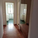 Affitto 4 camera appartamento di 96 m² in Rimini