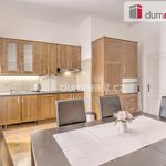 Rent 4 bedroom apartment of 130 m² in Praha