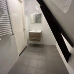Rent 1 bedroom apartment of 42 m² in Assen