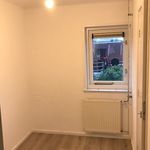 Rent 3 bedroom apartment of 87 m² in Nederhorst den Berg