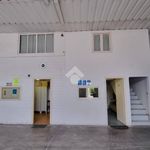 Rent 1 bedroom apartment of 650 m² in Spello