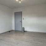 Rent 3 bedroom house of 150 m² in Leuze-en-Hainaut