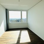 Rent 5 bedroom apartment of 133 m² in Neuhausen am Rheinfall
