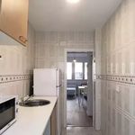 Rent 3 bedroom apartment in Valle de Sedano