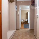 Rent 1 bedroom apartment of 34 m² in Chorzów