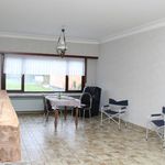 Rent 3 bedroom house of 1300 m² in Berlaar