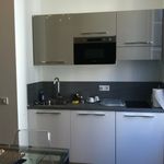 Rent 1 bedroom apartment of 23 m² in NICE