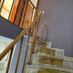 Rent 4 bedroom house of 250 m² in Bursa