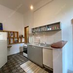 Rent 2 bedroom apartment of 54 m² in Budapest