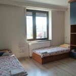 Rent 3 bedroom apartment of 100 m² in Mława
