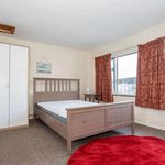 Rent 1 bedroom flat in Ballynahinch