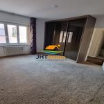 Rent 1 bedroom apartment in Saverne