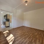 Rent 1 bedroom apartment of 24 m² in Karviná