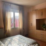 Rent 1 bedroom apartment of 75 m² in Padova