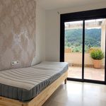 2 bedroom flat in Las Terrazas in Andratx