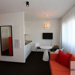 Miete 1 Schlafzimmer wohnung von 25 m² in Nuremberg