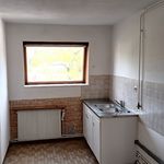 Rent 1 bedroom apartment of 35 m² in Brasles