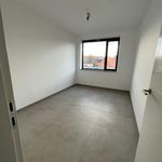 Rent 4 bedroom house of 185 m² in Lievegem