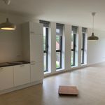 Rent 1 bedroom apartment of 75 m² in Berlare