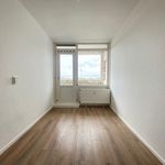 Rent 4 bedroom apartment of 79 m² in Rotterdam