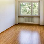 Rent 4 bedroom apartment in Murten