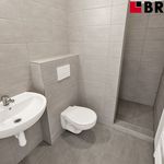 Rent 1 bedroom apartment of 26 m² in Brno