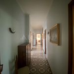 Rent 5 bedroom apartment of 146 m² in Catania