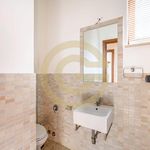 Rent 5 bedroom apartment of 312 m² in Cerveteri