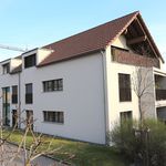 Miete 4 Schlafzimmer wohnung in Erlinsbach
