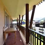 Rent 3 bedroom apartment of 60 m² in Sestriere