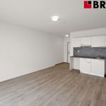 Rent 2 bedroom apartment of 25 m² in Brno