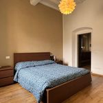 Rent 4 bedroom apartment of 70 m² in Firenze
