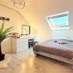 Rent 1 bedroom apartment in Blodelsheim
